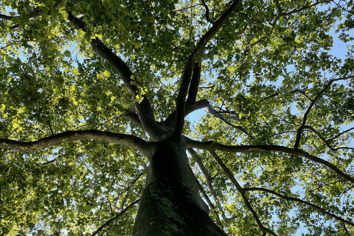 Jo Tomalin tweet media