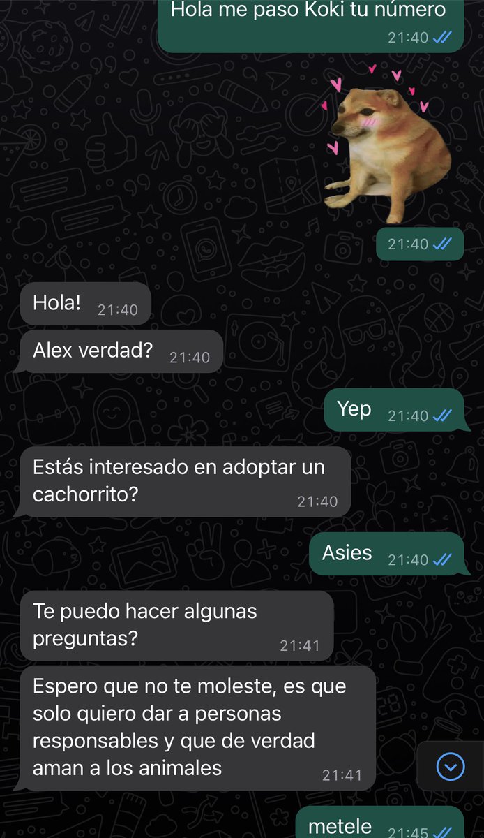 corgisama's tweet photo. Como empezó / como va https://t.co/hQxBiUCx83