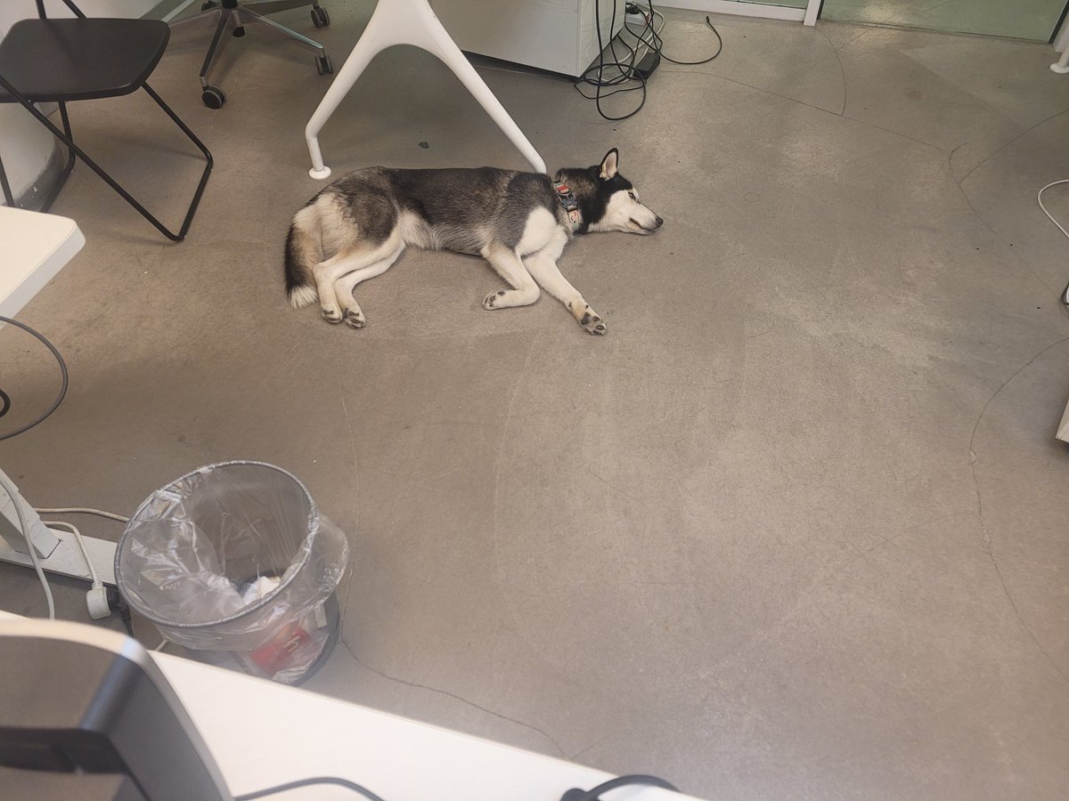 NitzanS's tweet photo. שלג התעייפה מיום העבודה! https://t.co/FT8El62PZF