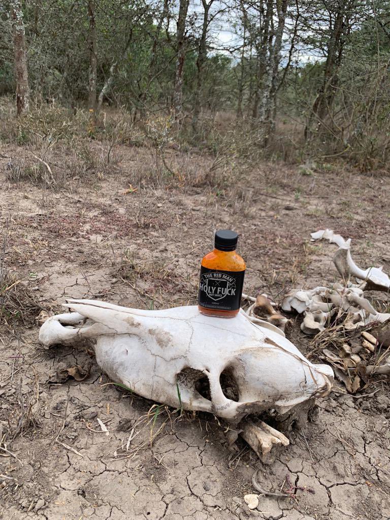 theribman's tweet photo. Apparently Holyfuck is on tour in Kenya 🇰🇪 😂 Living a better life than me 🥊😂🥰 #HolyFuckRules https://t.co/IfH1AdGHUw
