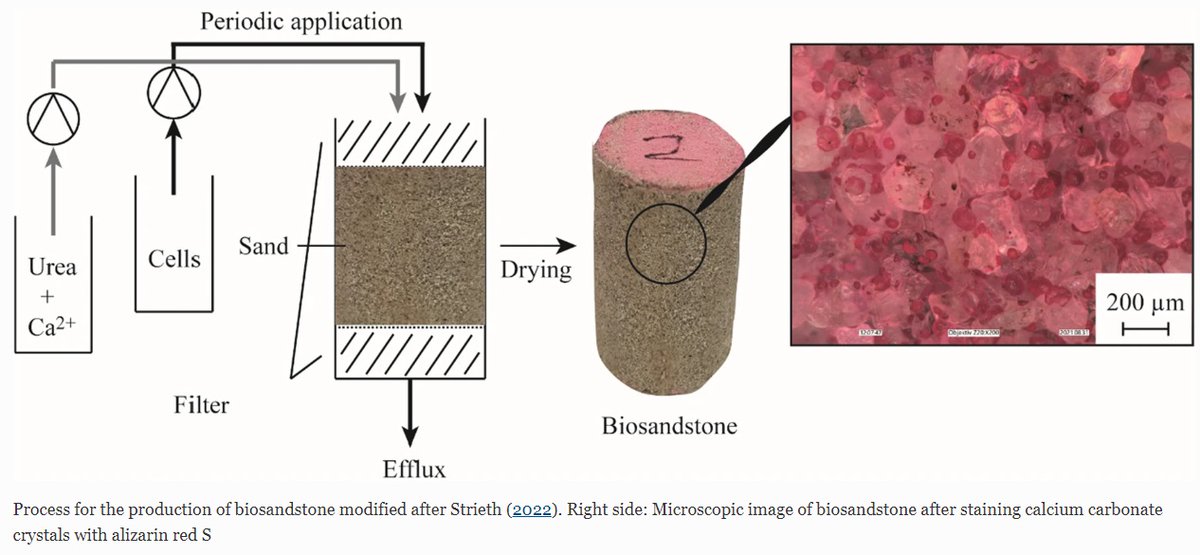 SpringerMicBio's tweet photo. New in World Journal of Microbiology and Biotechnology: Influencing factors on ureolytic microbiologically induced calcium carbonate precipitation for biocementation

Read now at: https://t.co/A3ja4PcrUm

#Biocementation #Biosandstone #Ureolyticactivity https://t.co/t9s9TCwswb