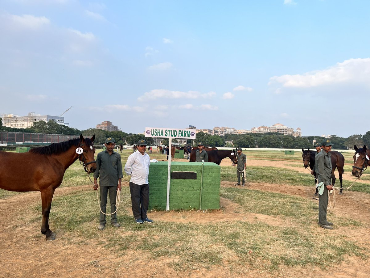 RaceMadras's tweet photo. Rolling of lots for the Madras Race Club #AnnualAuctionSale2023 begins.

Visit us at Guindy and become the proud owner of a #Thorougbred from one of the Country’s Leading  #StudFarms at the Sale on 13th January 2023 @RaceMadras followed by the Derby day races the next day https://t.co/NcRKd6P1O2