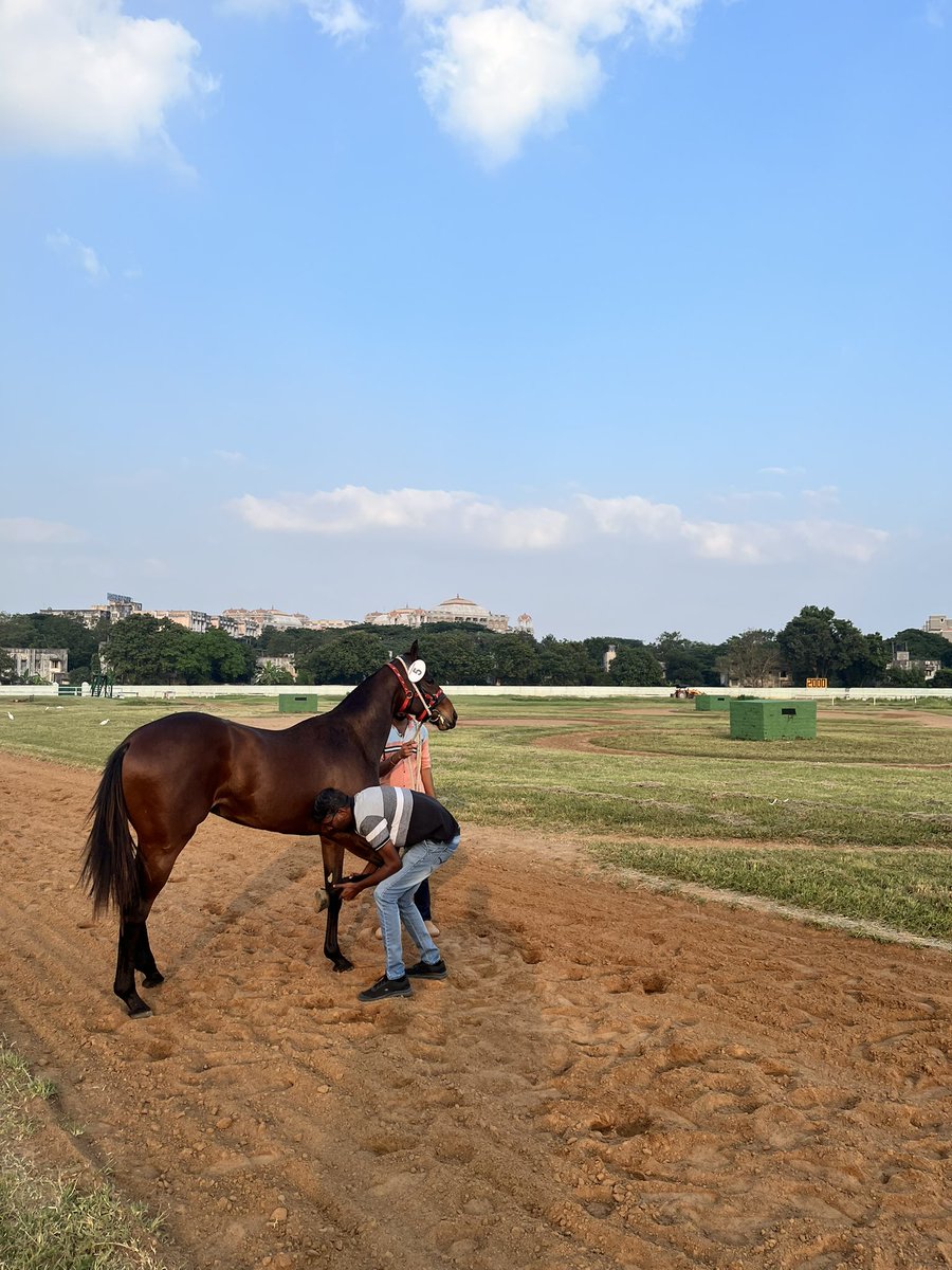 RaceMadras's tweet photo. Rolling of lots for the Madras Race Club #AnnualAuctionSale2023 begins.

Visit us at Guindy and become the proud owner of a #Thorougbred from one of the Country’s Leading  #StudFarms at the Sale on 13th January 2023 @RaceMadras followed by the Derby day races the next day https://t.co/NcRKd6P1O2