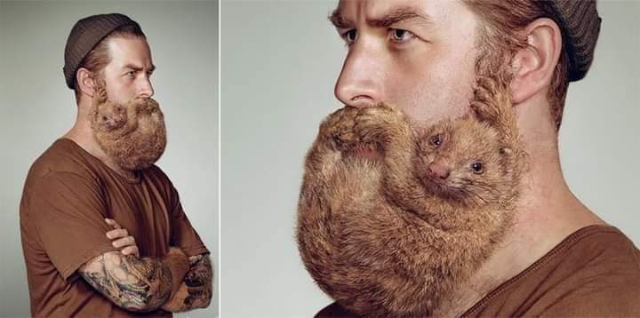 Atah_Official's tweet image. New animal shaped beard trend❤️

It&apos;s the 4th frame for me ❤️❤️👌🏿👌🏿❤️

#curatedcontent