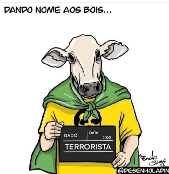 GadoDecider 🐂 (@gadodecider) on Twitter photo 