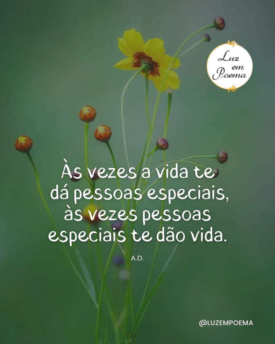 Simone Anjos (@simonea31699305) on Twitter photo 