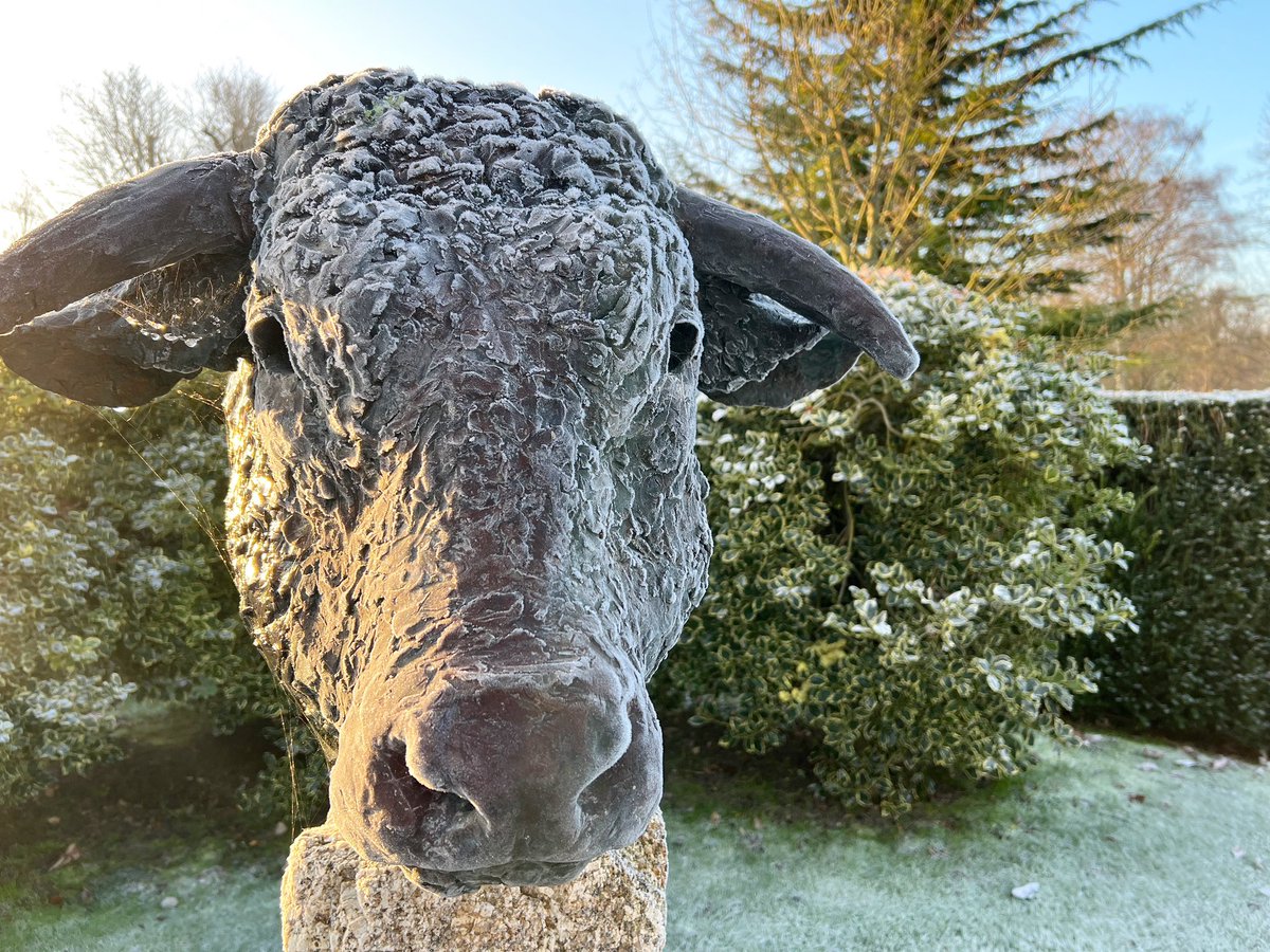2023 OPEN GARDENS//

Winter gardens opening from Saturday, 21st Jan, 10am-4pm everyday, cash only. The aconites and snowdrops are coming through fast. 

Entry £7 adult, £3 children aged 5-16yrs . Dogs welcome on leads. The tearooms will be open. ❤️