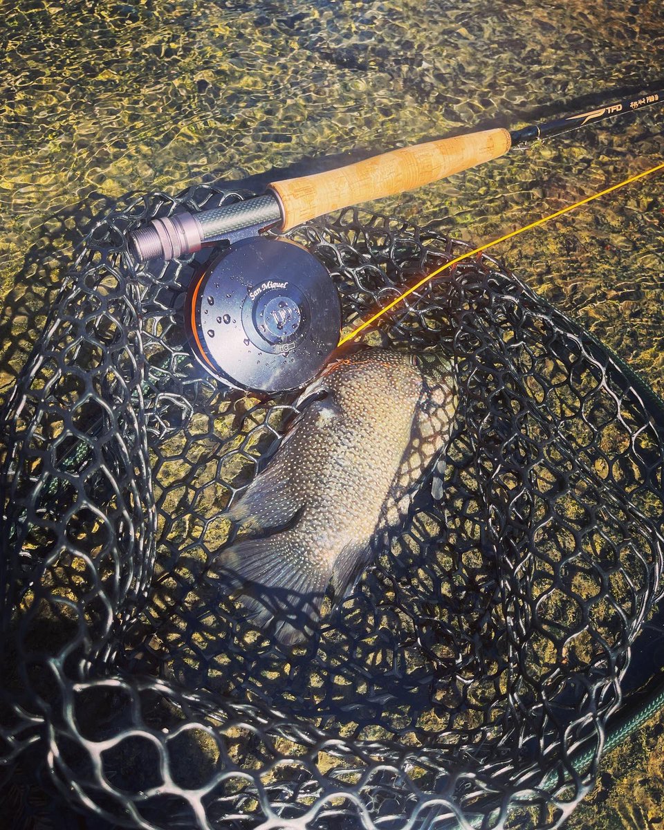 JonnyGross50's tweet photo. Flyfishing San Antonio River!!! https://t.co/Apo7vS0qvr