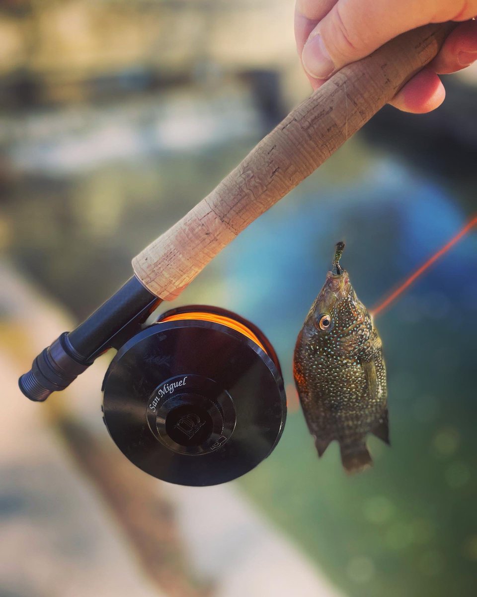 JonnyGross50's tweet photo. Flyfishing San Antonio River!!! https://t.co/Apo7vS0qvr