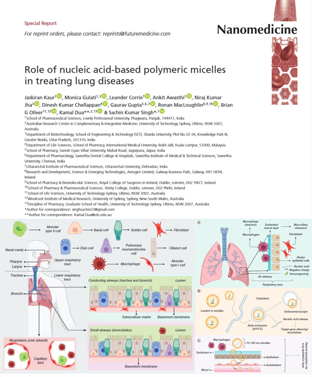 SachinK00306908's tweet photo. Role of Nucleic acid-based polymeric micelles in treating lung diseases; https://t.co/GvKkqVQrAz @Leander_Corrie @Ankitaw93479732 @DrNirajKumarJh1 @gauravpharma25 @Dinesh_Kumar78 @Kam_Dua @Aerogen  @lpuuniversity @UTS_GSH @UTSARCCIM @fsgnnm #RAIRteam @RespiratoryPage https://t.co/F7KYPyGgDC