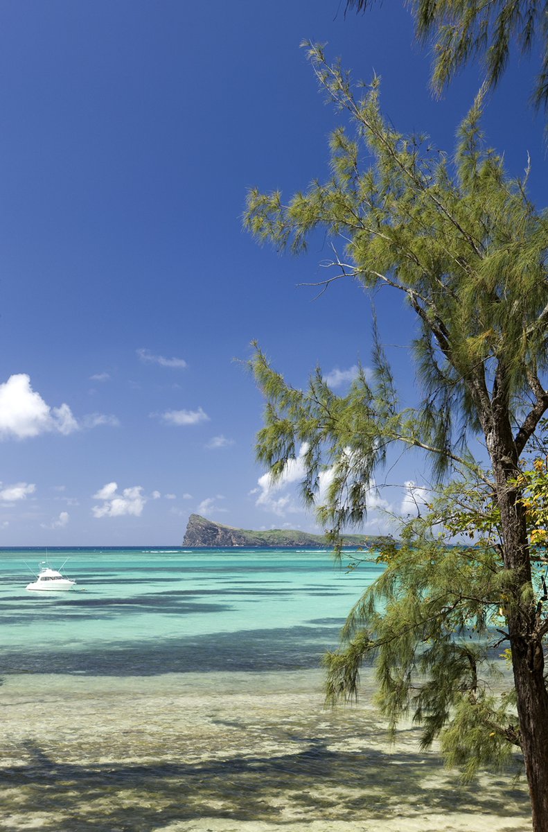 Monday in Mauritius be like 
Coin de Mire
#MondayMotivaton