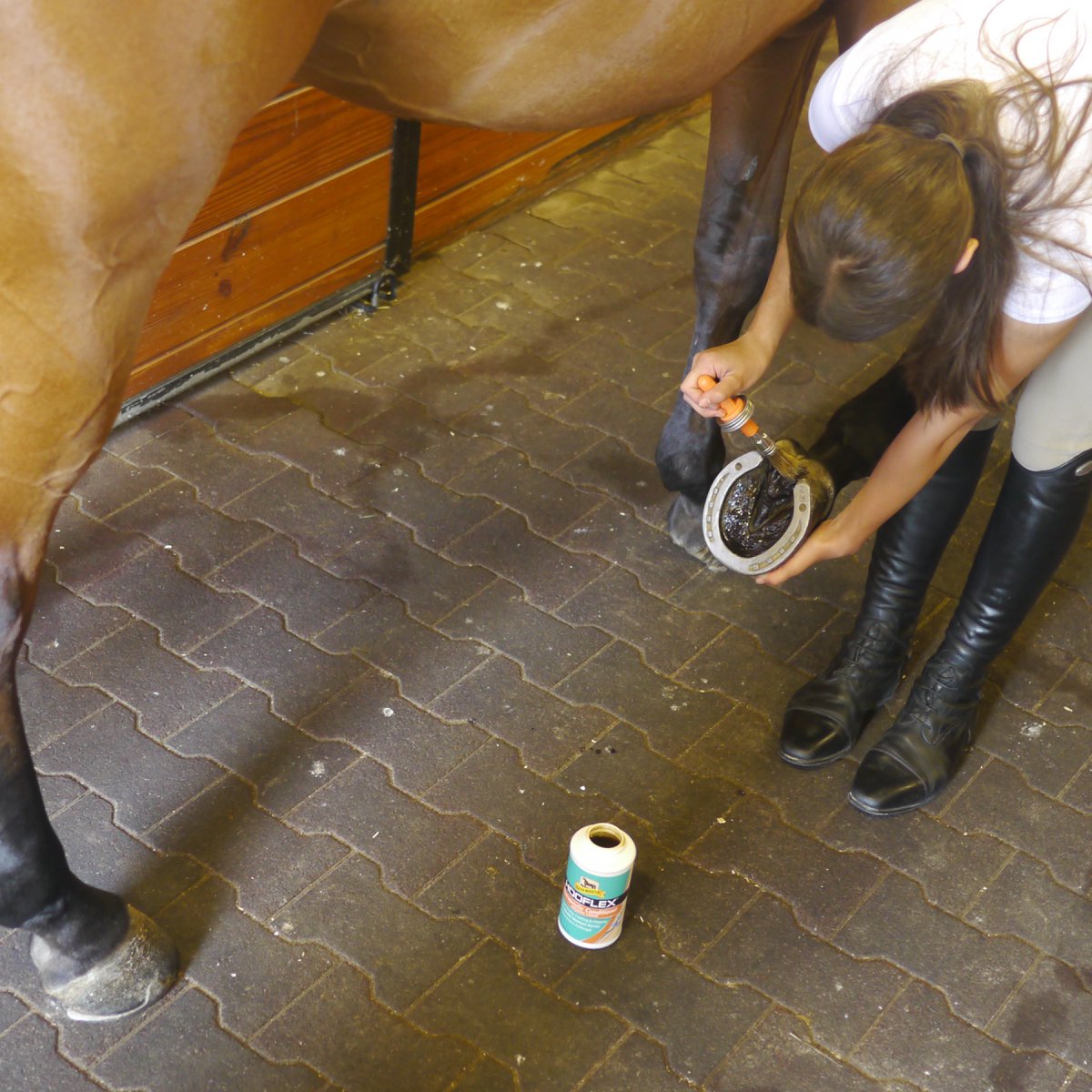 Hooflex Liquid Conditioner: Start with the sole, frog &amp; heels. Then let the foot down &amp; apply to the coronary band &amp; last, the hoof wall ensuring you soak any cracks well. This is a good order to do get all of the important parts &amp; keep your hands clean! absorbine.co.uk/products/hoof-…