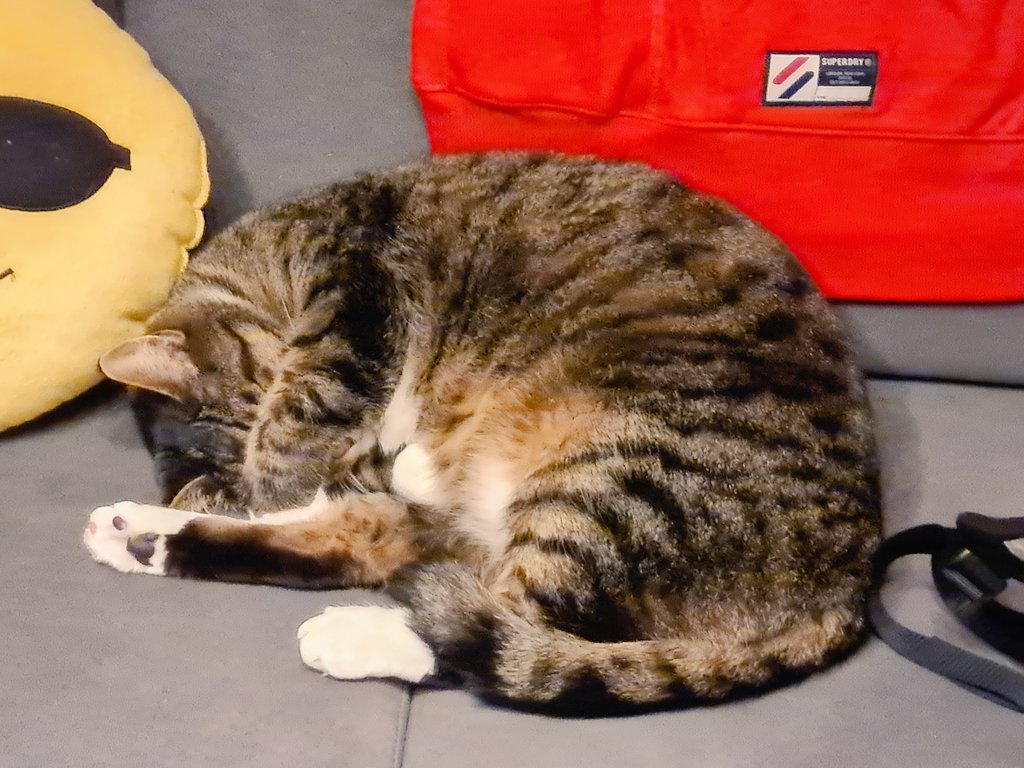 Tharsonius's tweet image. 😊