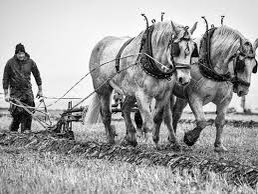 Pauline06257671's tweet image. Today is #PloughMonday - when farmers started ploughing again ready for spring sowing. 
We’re losing the art of punctuating the year with festivals, feasts &amp;amp; commemorations. So spend the year with #mindfully, deliberately noting &amp;amp; celebrating the passing of the #Seasons