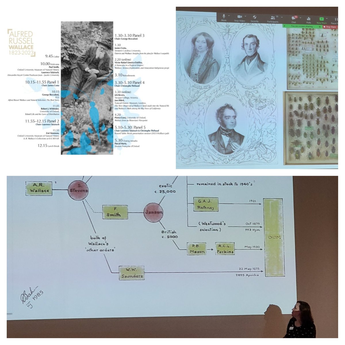 Amo Spooner tweet media