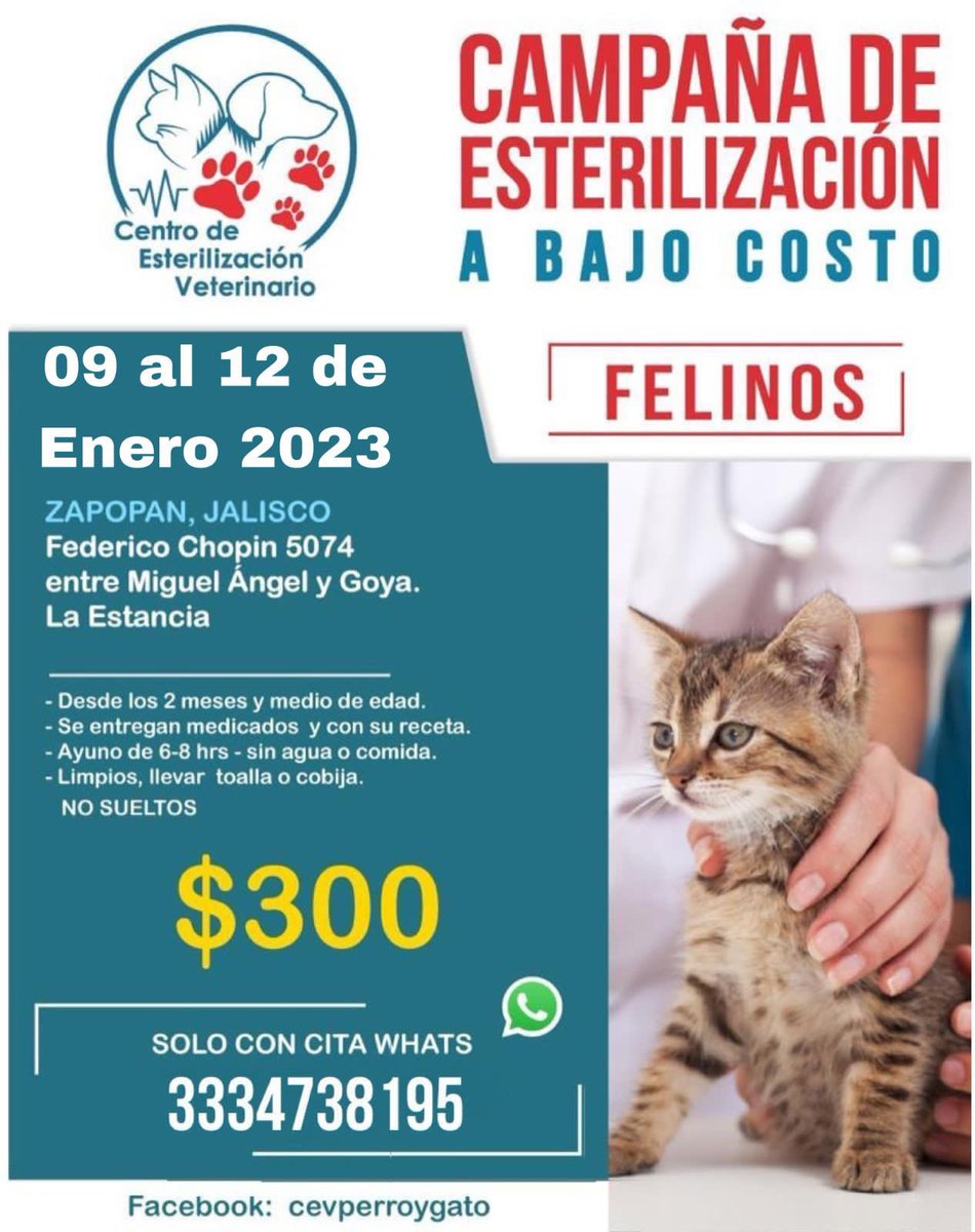 Adoptando un amigo tweet media