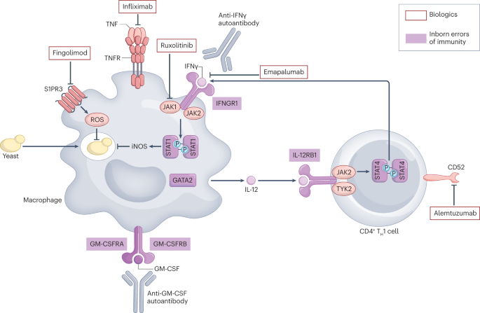 Journal of Clinical and Cellular Immunology tweet media