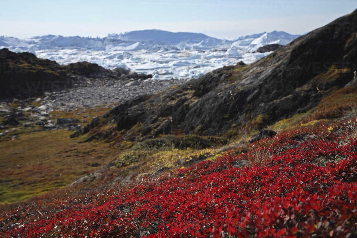 Noguesbravo's tweet photo. WE HIRING!

Phd project on anthropogenic impacts on temporal biodiversity change, with special focus on Danish and Greenlandic plants! 

Main Supervisor: @NMoruetaHolme 

You will be part of a team of scientists leading the new ATEMPO @DFF_raad project

 Help me spread the news! https://t.co/9O5AzYDSrv