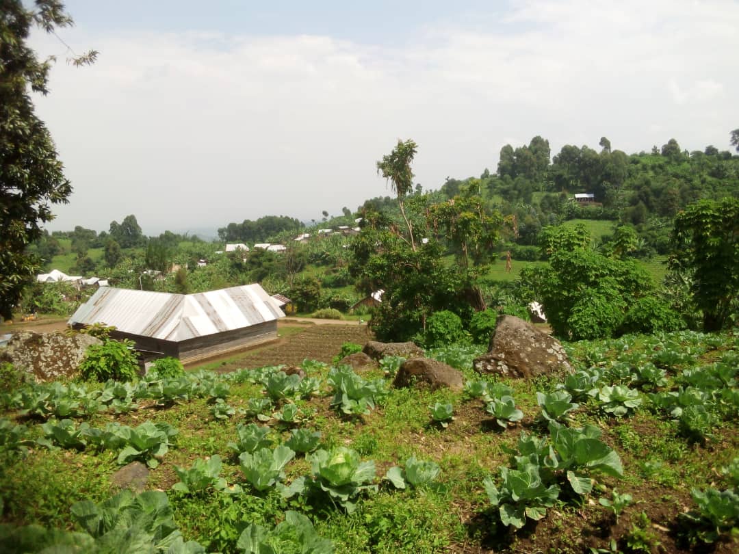 michombero's tweet photo. #RD🇨🇩: retrait des rebelles du #M23 à #Rumangabo, des sources sur place affirment qu'une femme a été tabassée le matin de ce lundi a 6h dans le village de #Bugomba sous prétexte qu'elle serait l'épouse d'un #FDLR.
C'est à quelques mètres au sud du grand monument de Rumangabo https://t.co/grtrsUbGXG