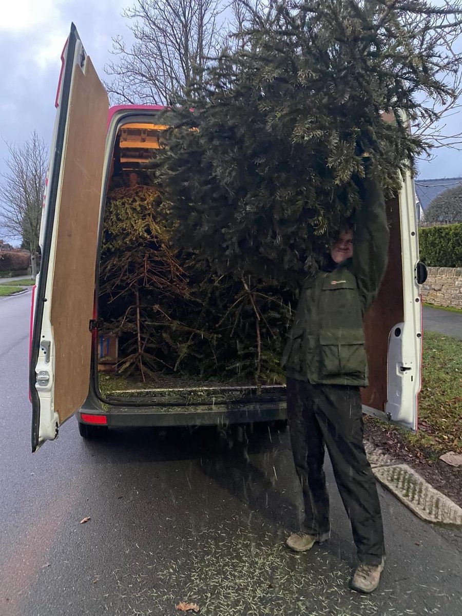 Dore Primary School tweet media