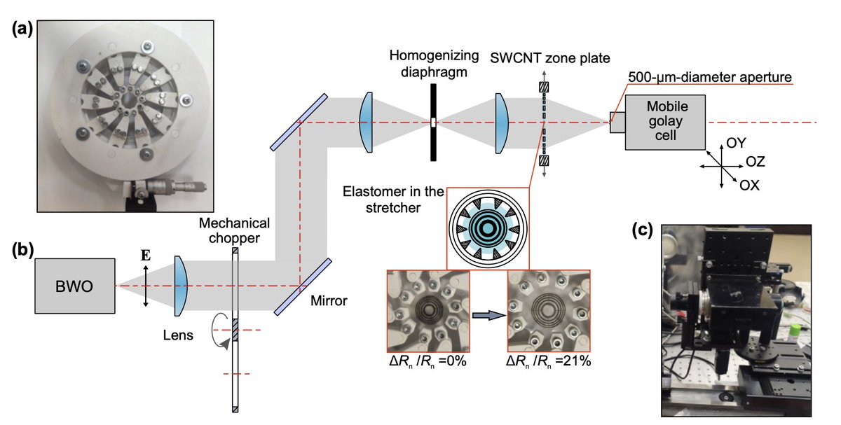 And one more paper eventually comes out in Optica 

"Tunable THz flat zone plate based on stretchable single-walled carbon nanotube thin film" 
doi.org/10.1364/OPTICA… 

Carbon nanotubes help to creat tunable elements for THz and sub-THz