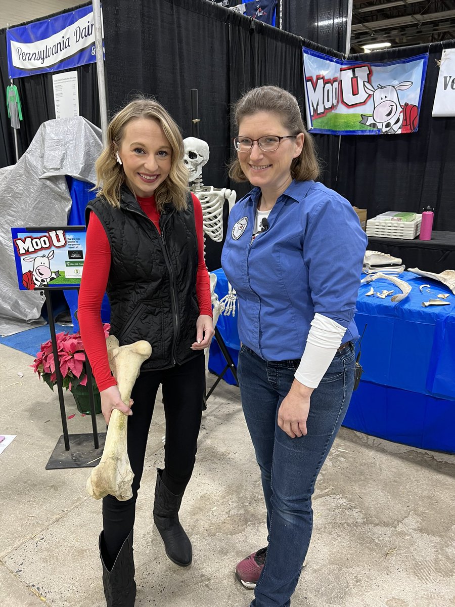 kaylamarie_tv's tweet photo. Bones and more! Today ONLY at the 2023 Pennsylvania Farm show #CalvingCorner’s MOO U Anatomy Lab with Dr. Jody Kull! So cool! @padairymens https://t.co/IU8GyXfHkM