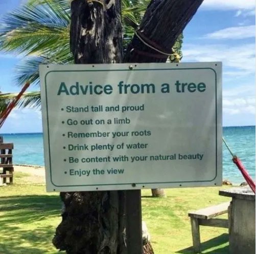 UnityKitchener's tweet image. #UnityKitchener #divine #guidance #Metaphysics #advise #treehugger @Unity_Kitchener
More information: buff.ly/3FZKBdb
Sign up for Newsletter: buff.ly/3G6Df7A