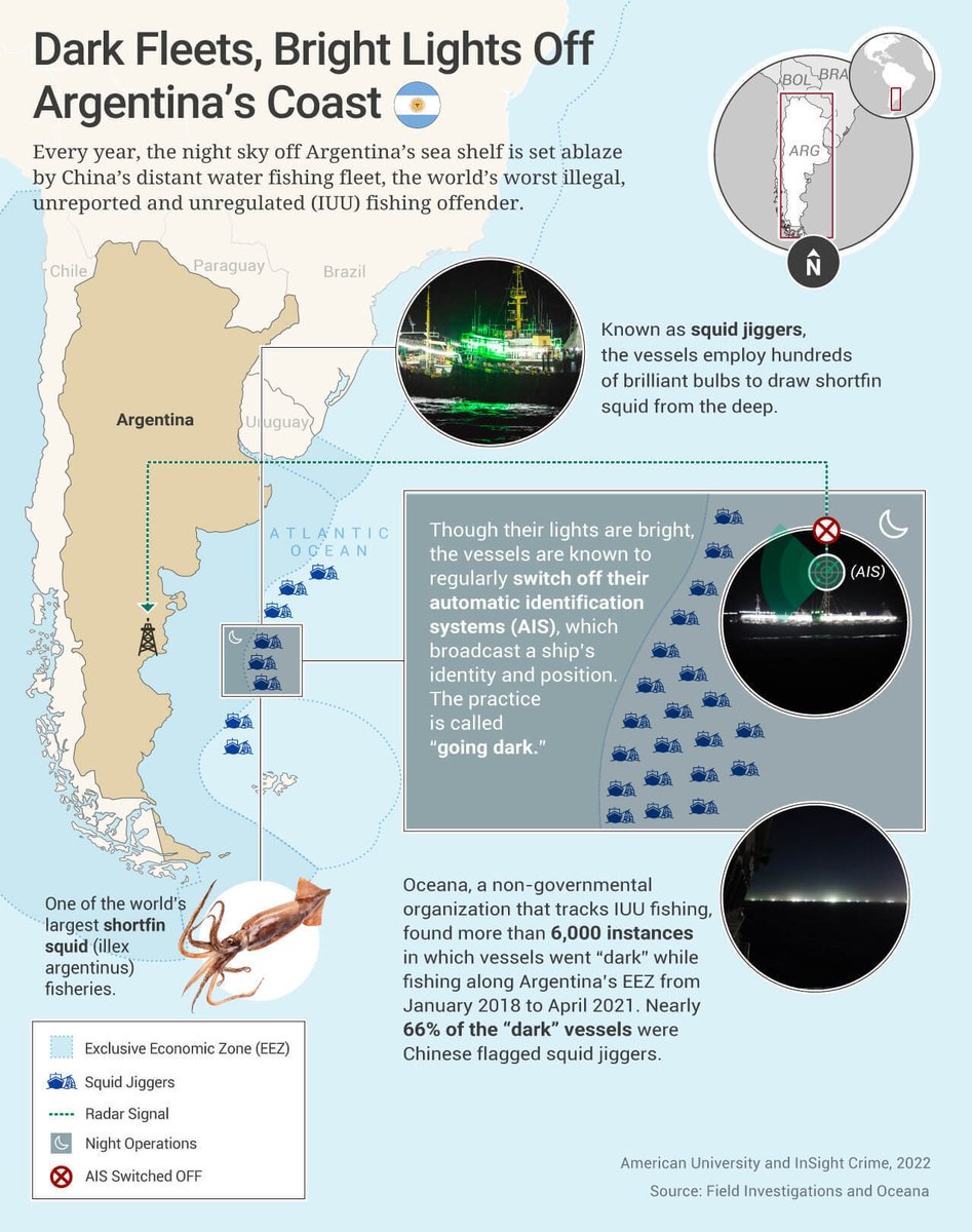 InSightCrime's tweet photo. #InSightFiles2022 | Chinese squid jiggers take advantage of being just beyond Argentina’s 200-mile Exclusive Economic Zone. Boats are known to engage in #IUUFishing practices, including switching off transponder to raid Argentina’s waters. https://t.co/7wMU2QYh35 https://t.co/7tDjGFkVs3