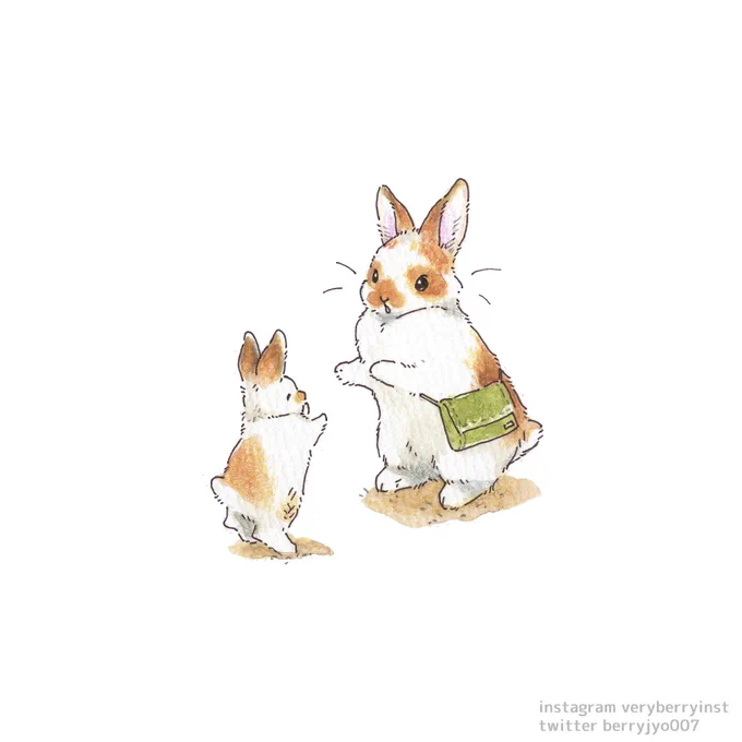 うわーんこーけーたぁー! 