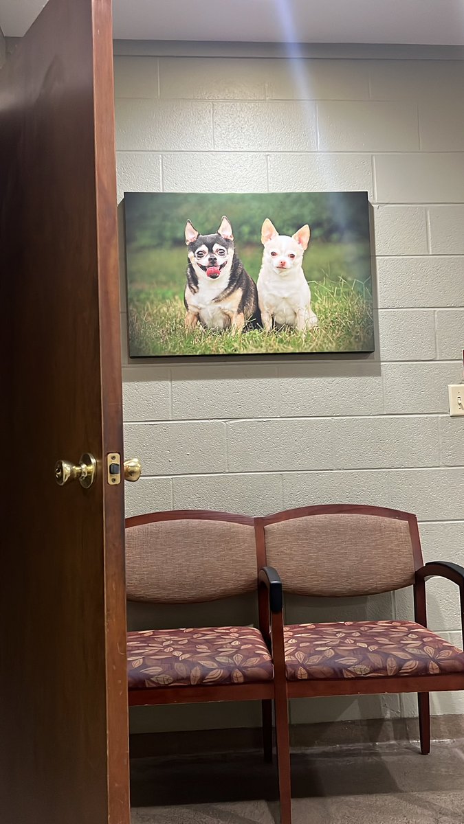 Matthew Ussery tweet media