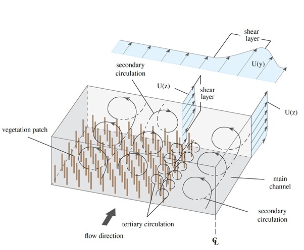 1st PhD paper by Stefania Unigarro Villota in Water Resources Research (w/ <a href="/pablobranson/">Paul Branson</a> &amp; Jimmy Philip from <a href="/UWAresearch/">UWA Research</a>/<a href="/UniMelb/">University of Melbourne</a>)!
Vegetation can be a mixing 'engine' in rivers, creating 3D flows that transport material from bed to surface (and v/v).

shorturl.at/dILM3