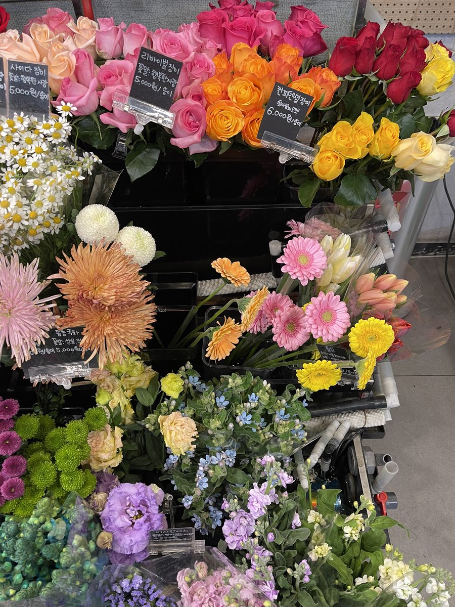 berrycrumblepie's tweet photo. i bought flowers for myself ✿ https://t.co/CWiShYLZ2l