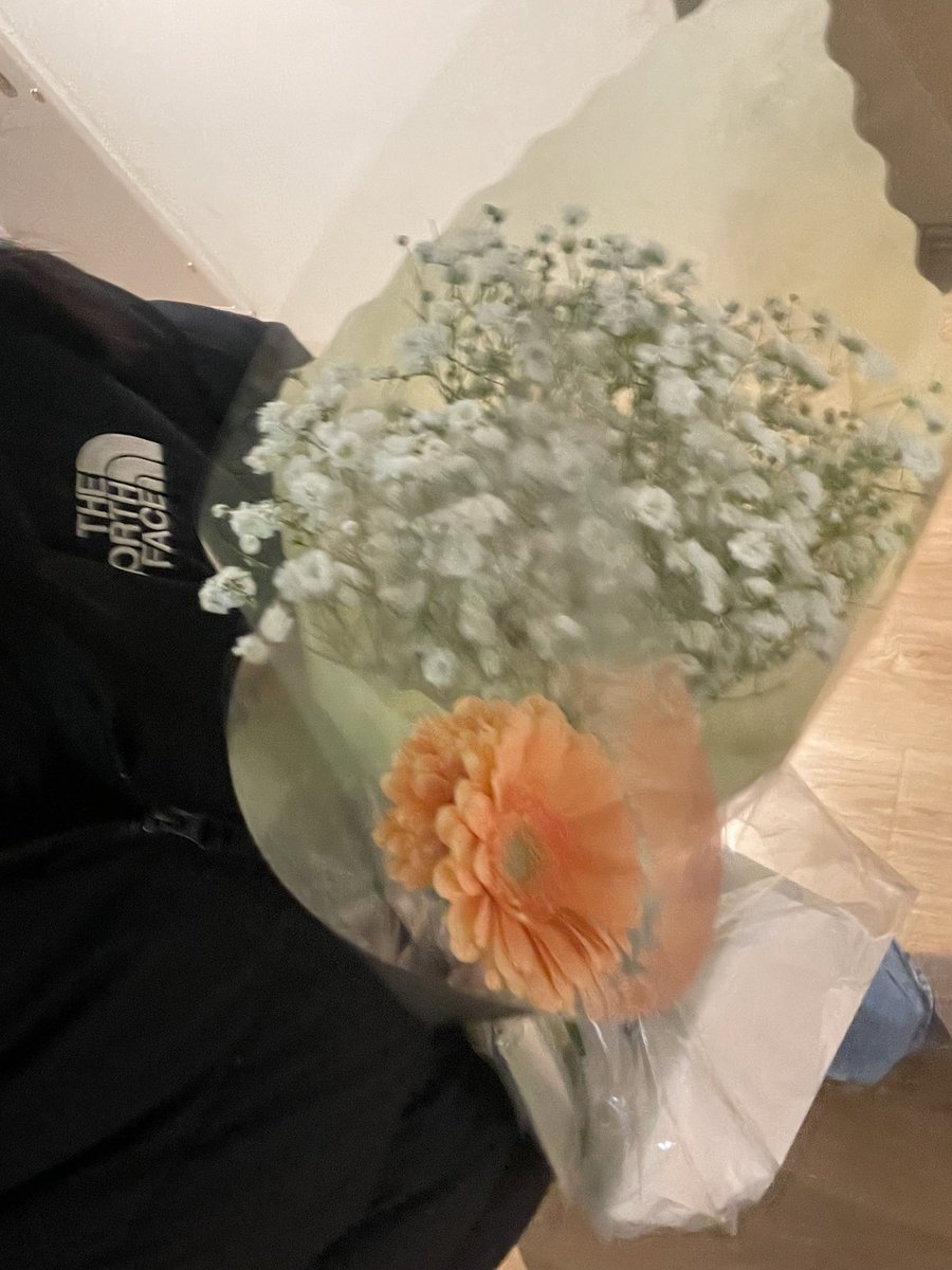 berrycrumblepie's tweet photo. i bought flowers for myself ✿ https://t.co/CWiShYLZ2l