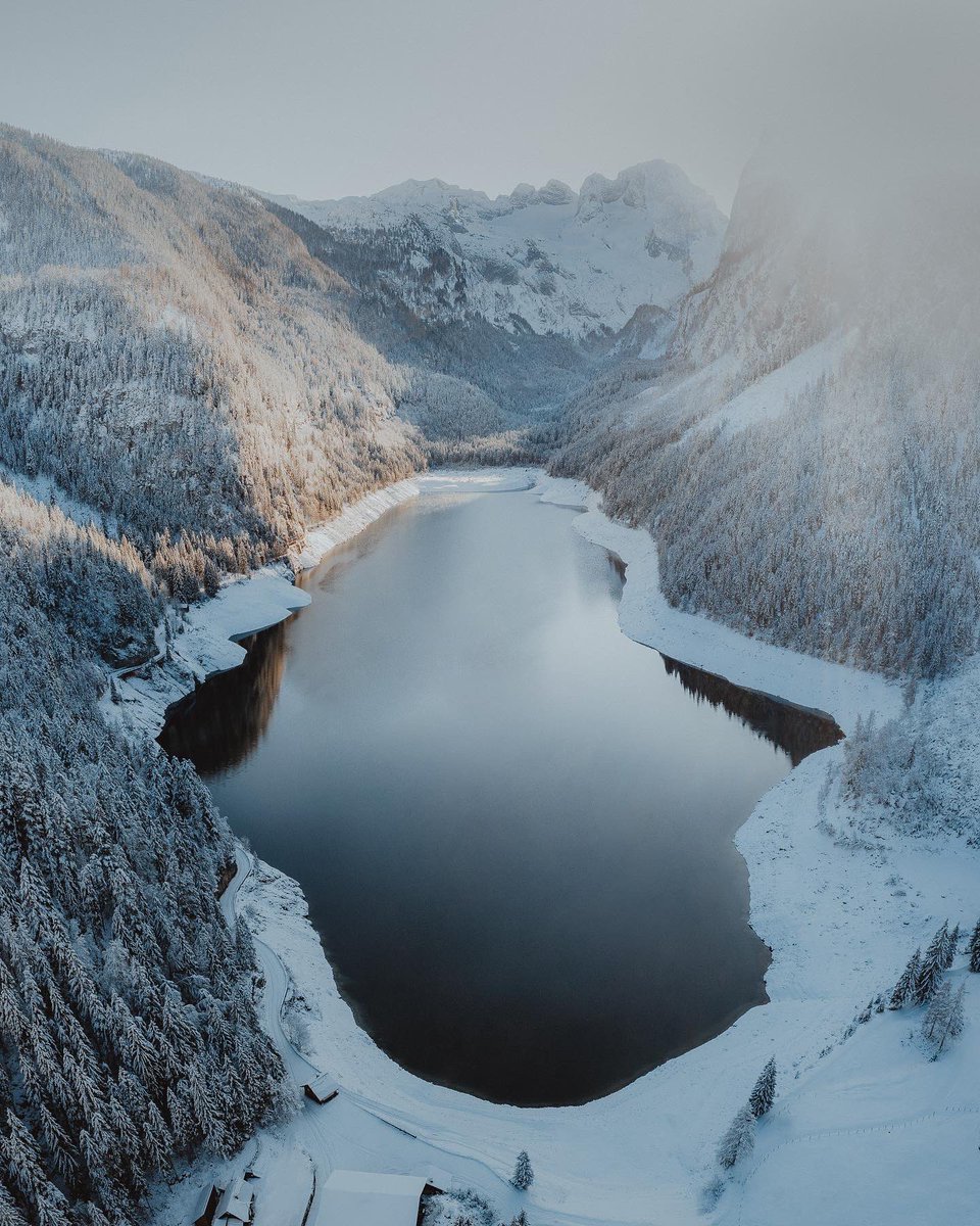 Robin Uthe tweet media