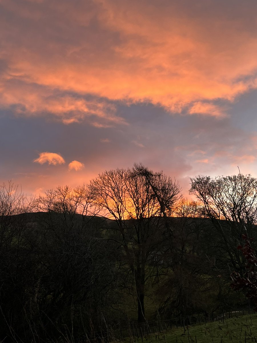 Moments of brightness on a January morning. #KirkbyStephen #Cumbria @EdenViaducts
