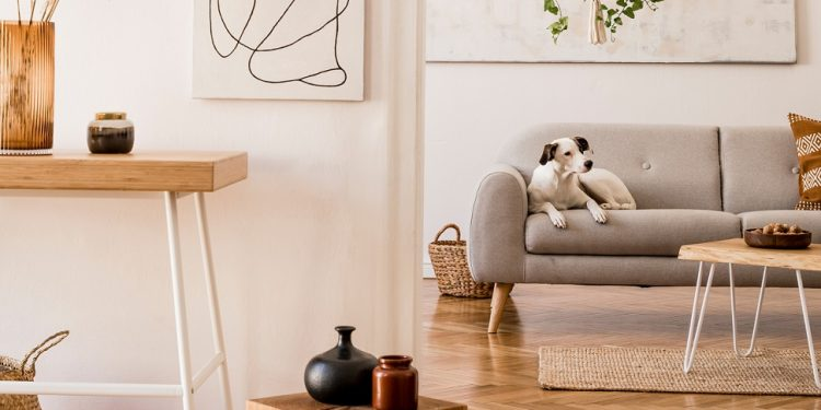 latorredebcn's tweet photo. Mobiliari minimalista: l’estil que es manté en tendència 🛋️
https://t.co/cdGjFx2Gyg https://t.co/a10P4RlSgB
