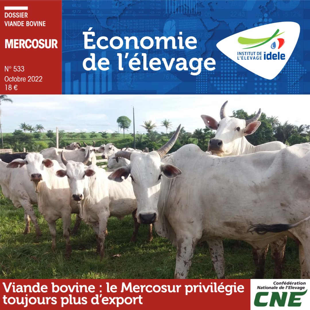 InstitutElevage's tweet photo. #Économie #Élevage | Viande #bovine 🐂
Mercosur => Toujours + d’export
Découvrez dans ce dossier ⤵
✅ Les points forts de la compétitivité de la #viande bovine issue du #Mercosur
✅ Les points aveugles, comme son rôle persistant dans la #déforestation
ℹ https://t.co/MPSkjgbxU6 https://t.co/WkLE9DKR27