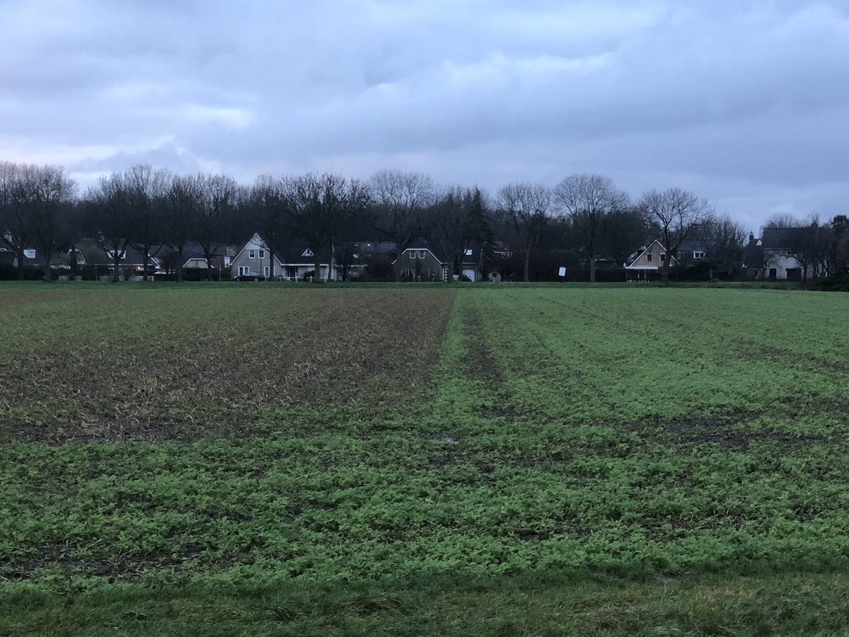 Links half september gezaaid. Rechts 14 dagen later. Zelfde mengsel