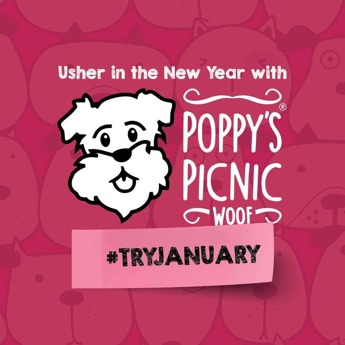 Poppy's Picnic (@poppyspicnic) on Twitter photo 