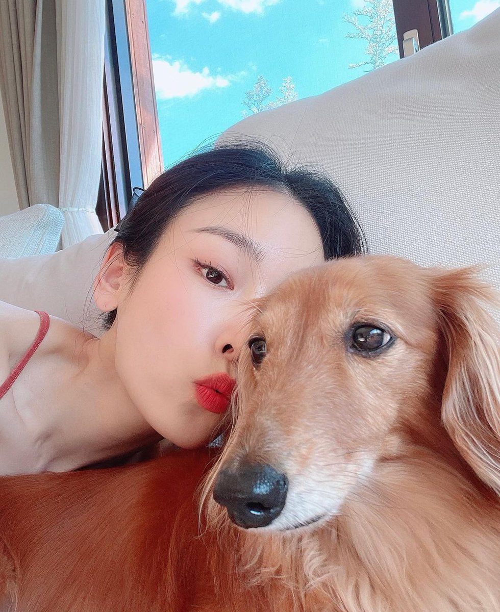 seolovedareal's tweet photo. 하..이 상황이 그냥 현실성이 없음

1. 서현진이 인스타함
2. 서현진이 셀카를 ��� 찍음
3. 서현진이 잘 찍은 셀카를 인스타에 올림 https://t.co/lQ8QjzhAGA