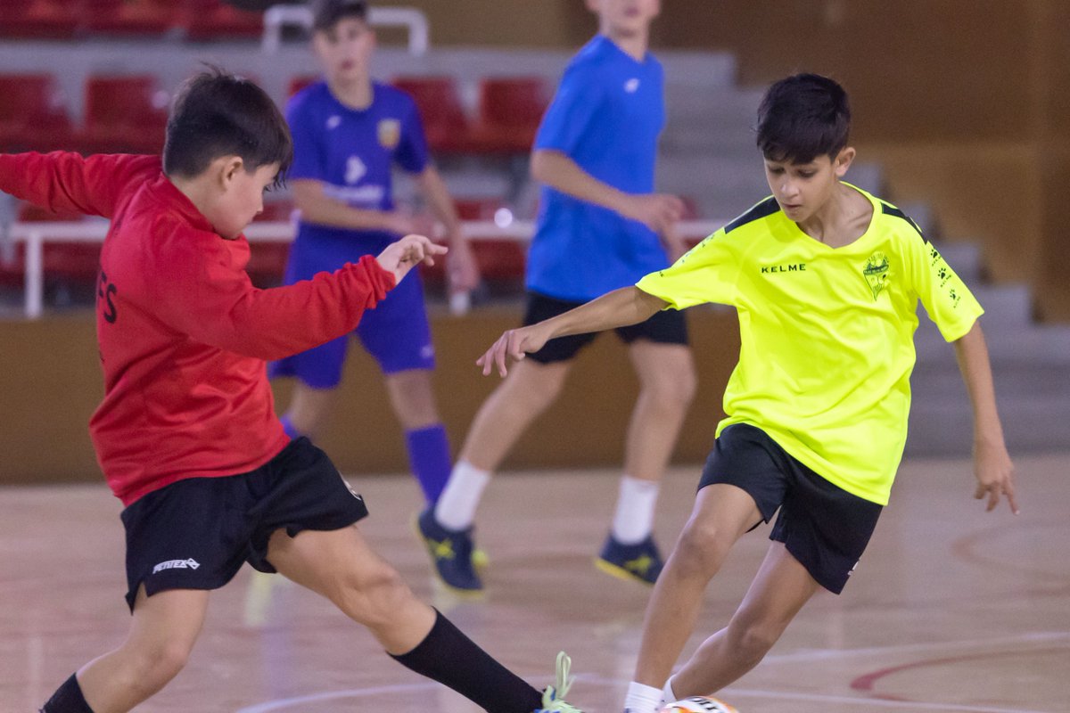 FCF_CAT's tweet photo. 🟡🔴 Primer entrenament de l’any per a les Seleccions Catalanes de futbol sala
🔗 Més a https://t.co/EwyTqdhAu4
#ÀreaEsportivaFS #SeleccionsCatalanesFS #BenjamíFS #AlevíFS #AlevífemFS #InfantilFS #InfantilfemFS https://t.co/aWanNHe5UI