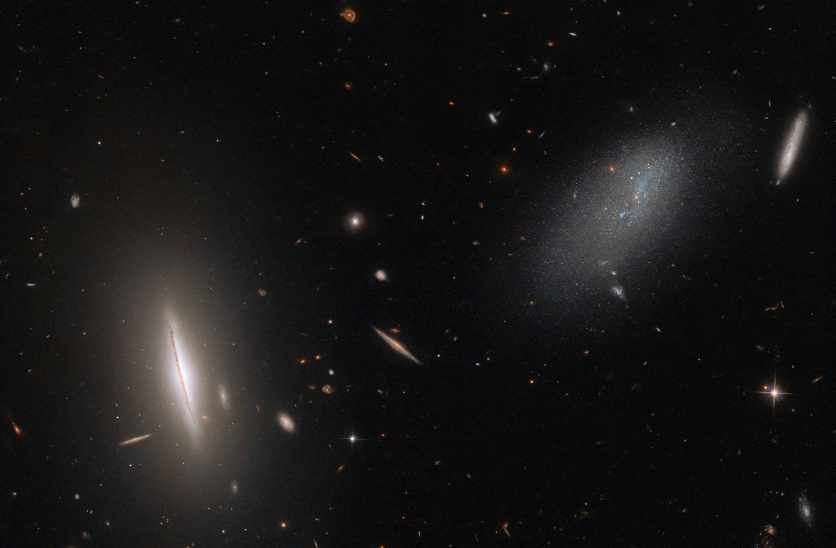 HUBBLE_space's tweet image. This new image from Hubble features the galaxy LEDA 48062 in the constellation Perseus. LEDA 48062 is the faint, amorphous galaxy on the right, and it is accompanied by the disc-like galaxy UGC 8603 on the left. Read more: esahubble.org/images/potw230…

📷: ESA/Hubble &amp;amp; NASA, R. Tully