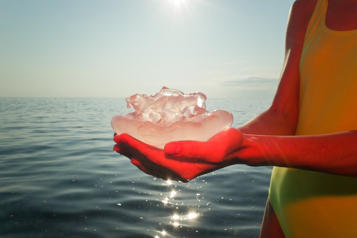 Ilya Daesque tweet media