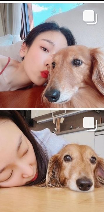 seolovedareal's tweet photo. 거짓말같다 https://t.co/olD7uBhIAc