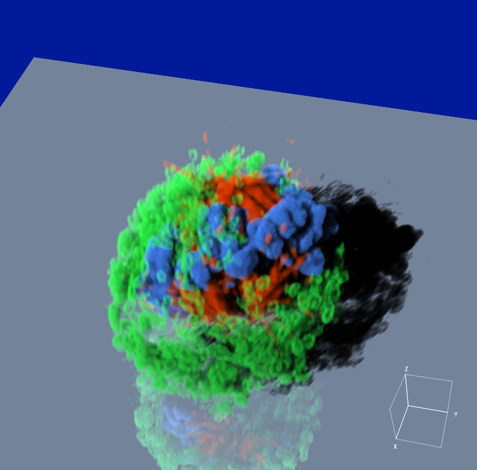 3 years running our facility @bioImaging_NCL has been in the top 4 in the SVI Huygens Image Contest! Congratulation to Dr. Rolando Berlinguer-Palmini. 'Sfp_Tubulin_Chromosomes Mito Anaphase'. svi.nl/ImageContestWi…