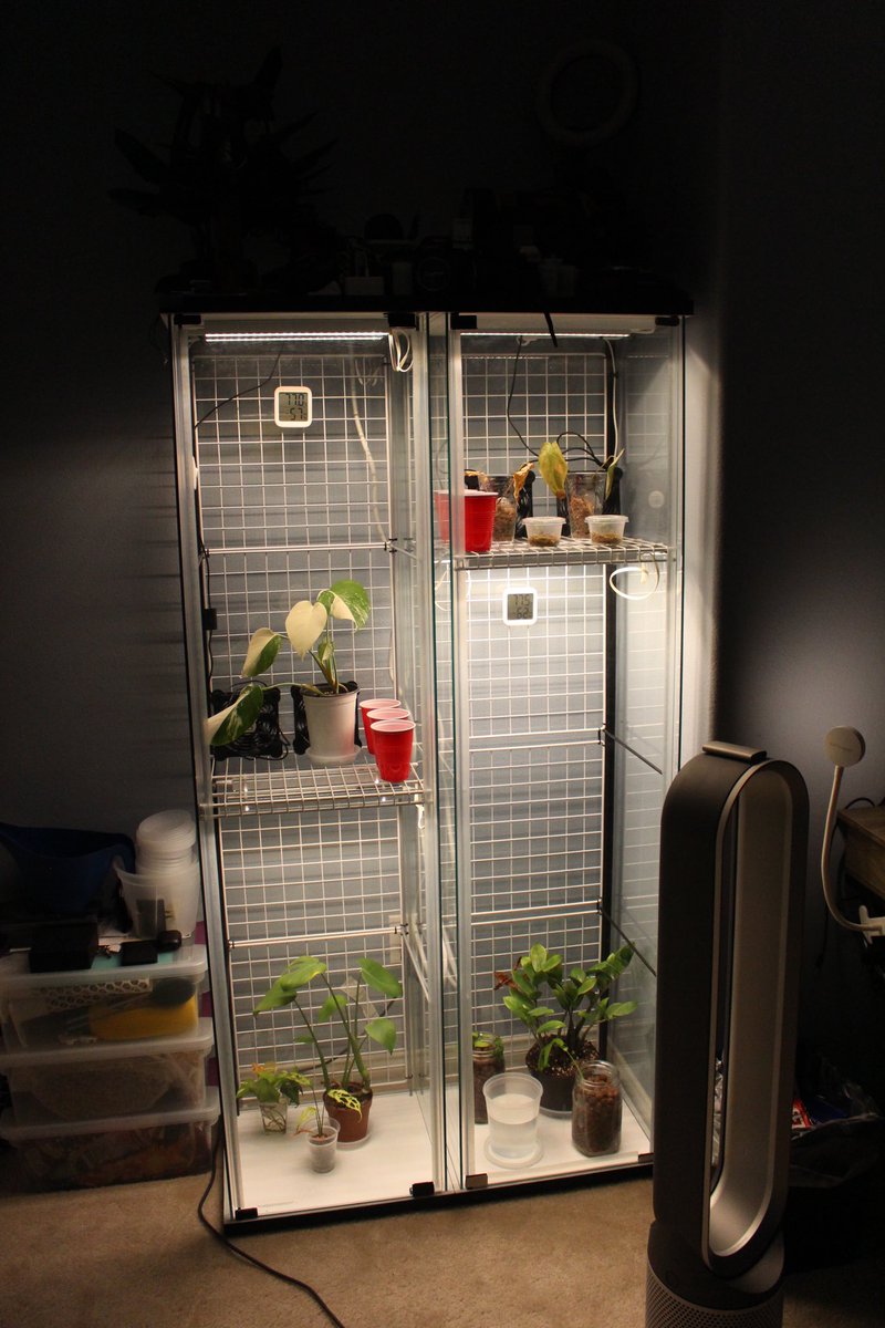 Falconist tweet media
