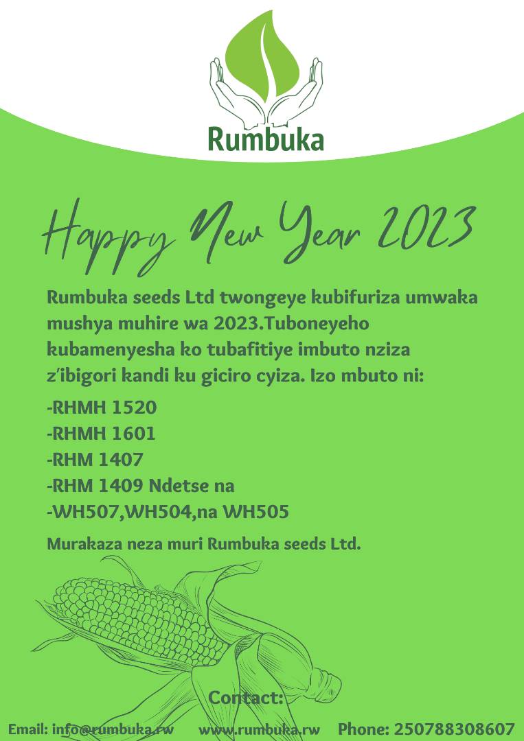 Rumbuka tweet media