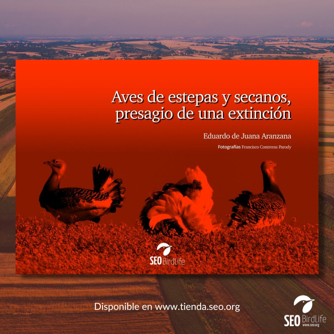 SORTEAMOS 1 LIBRO👇📕  entre todas las personas que hagan 🔁RT y ✍️comenten con el nombre de una especie de ave agroesteparia en este post. (Ejemplo: avutarda🦃). ¡Suerte!
✅También disponible en bit.ly/3VQvTet