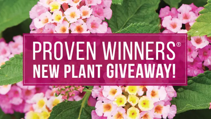 Garden Gate Magazine Giveaway

gardengatemagazine.com/articles/web-e…

Follow <a href="/ReviewsOffers/">ReviewsOffers</a> for #Giveaways and #Win. 

Retweet + Like this post⁠
Reply &amp; tag a friend

#Retweet #RT #competition #ReviewsOffers #couponcode #sale #ad #ContestAlert #competition #prizes #Sweepstakes