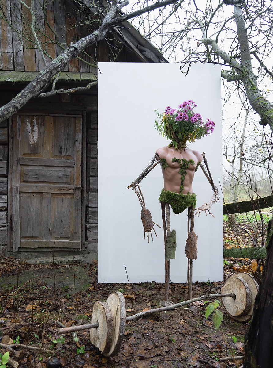 Alice in Fotoland tweet media